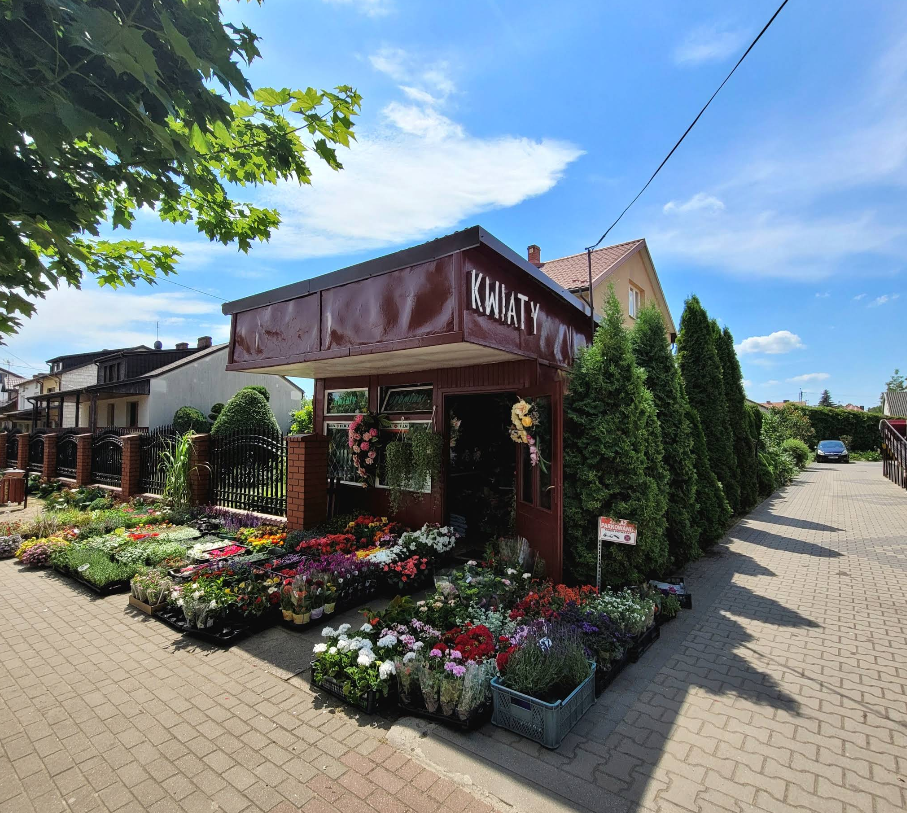 Kwiaciarnia w Wildze - Oferta