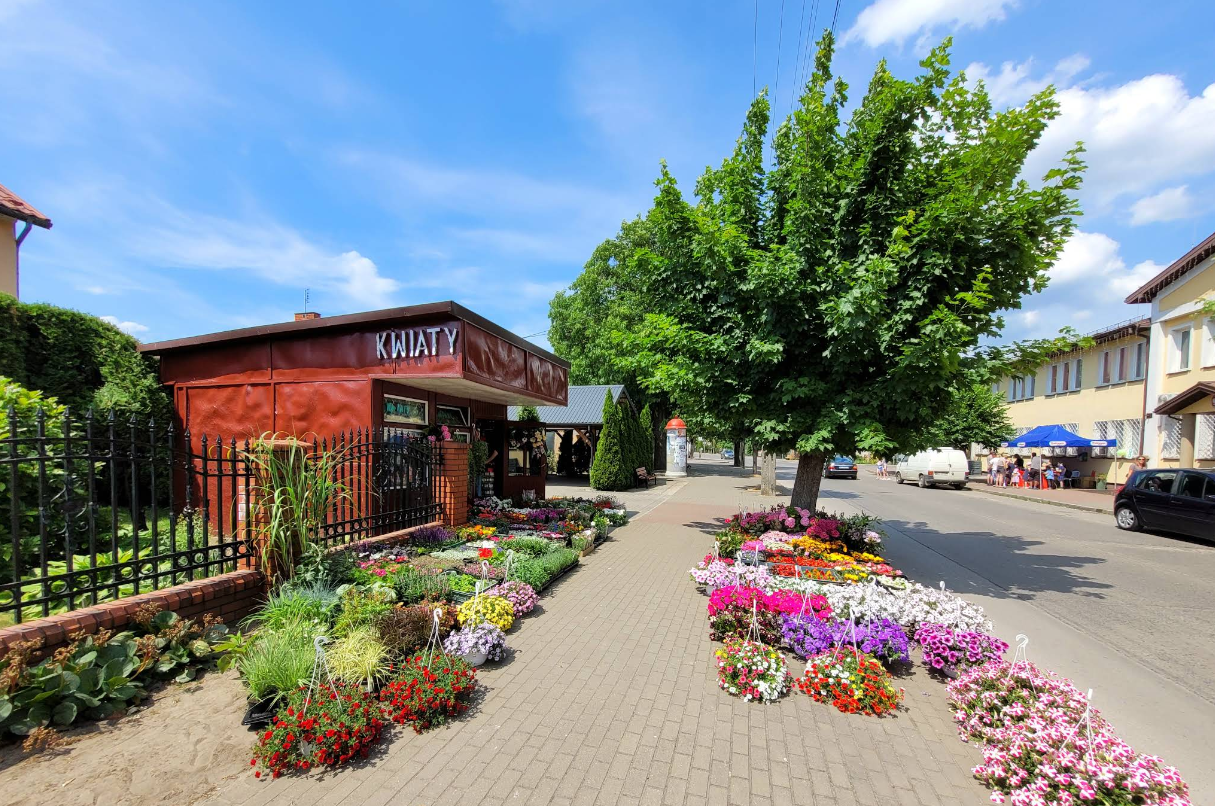 Kwiaciarnia w Wildze - O nas